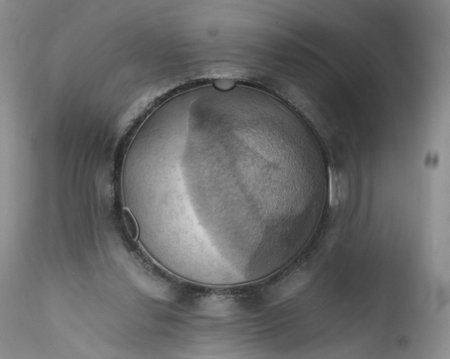 X0000111030252200907091551