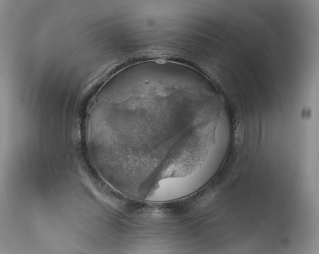 X0000111030254200907091551
