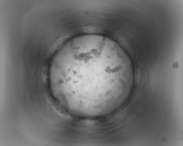 X0000111030255200907091551