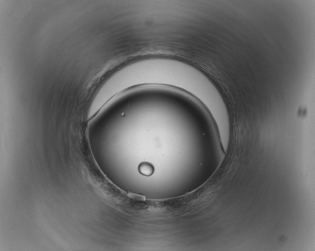 X0000111030256200907091551