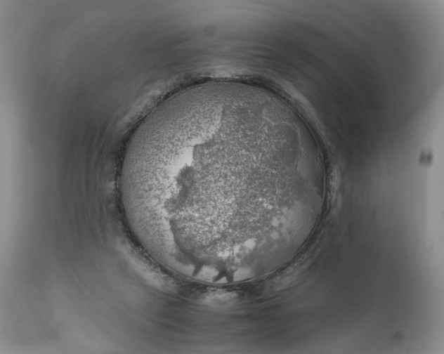 X0000111030257200907091551