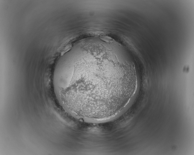 X0000111030259200907091551
