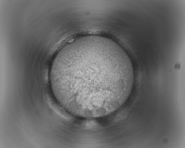 X0000111030262200907091551