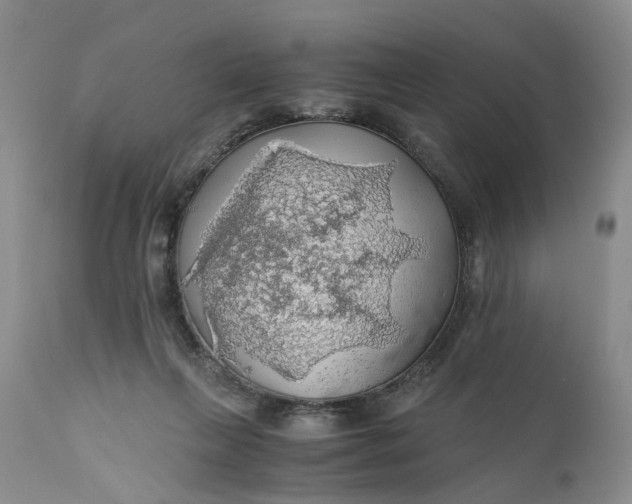 X0000111030263200907091551