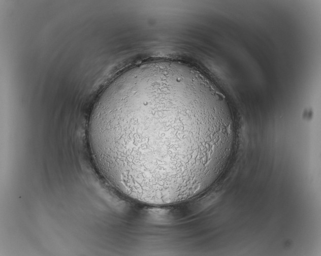 X0000111030265200907091551
