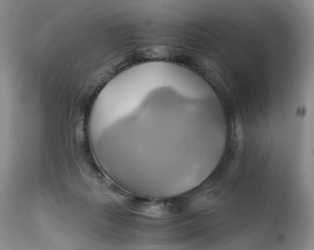 X0000111030267200907091552