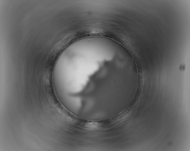 X0000111030269200907091552