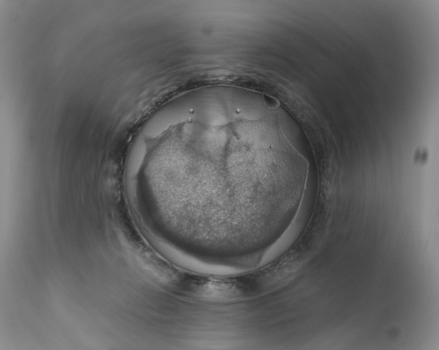 X0000111030270200907091552