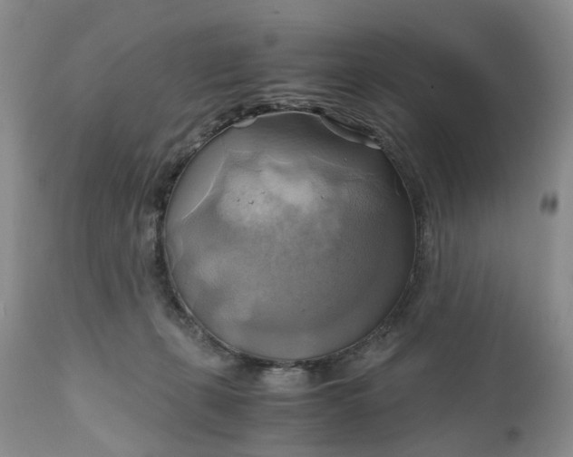 X0000111030271200907091552