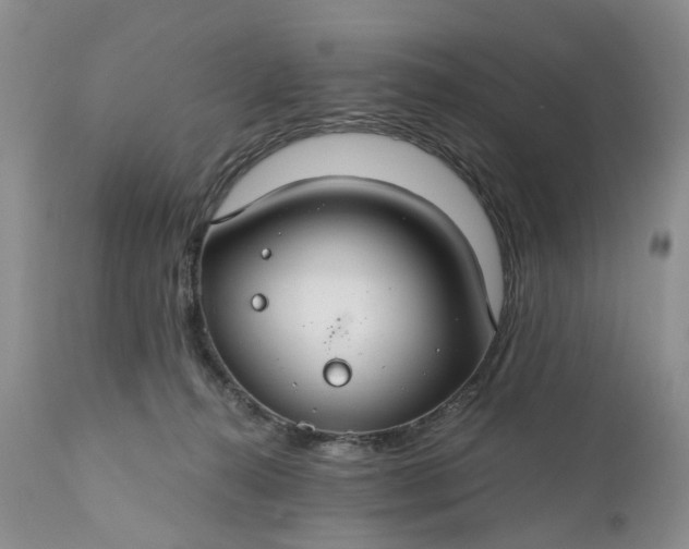 X0000111030272200907091552
