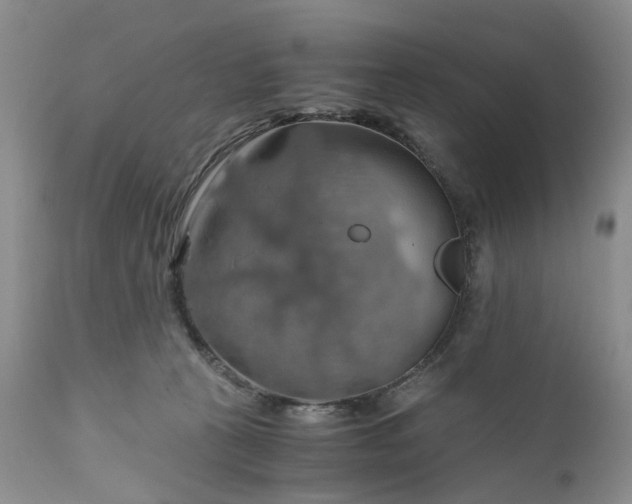 X0000111030273200907091552