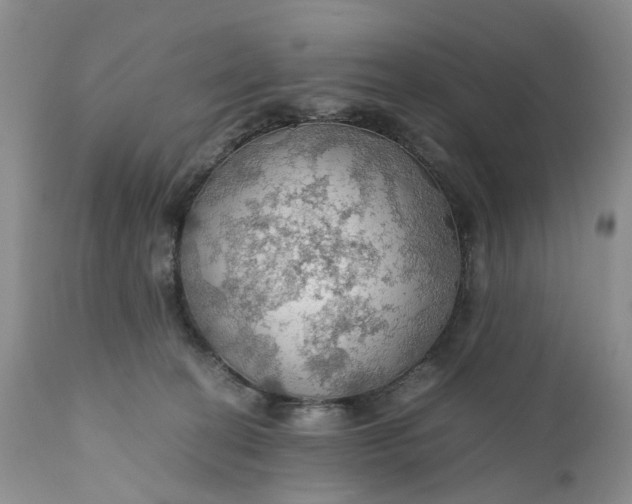 X0000111030274200907091552