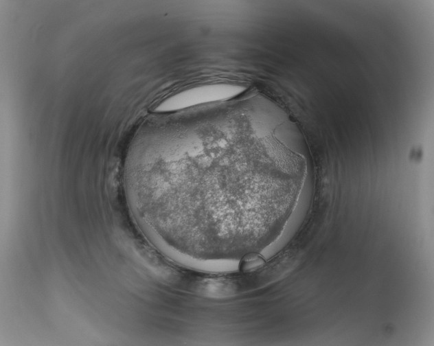 X0000111030275200907091552