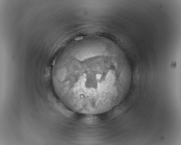 X0000111030278200907091552