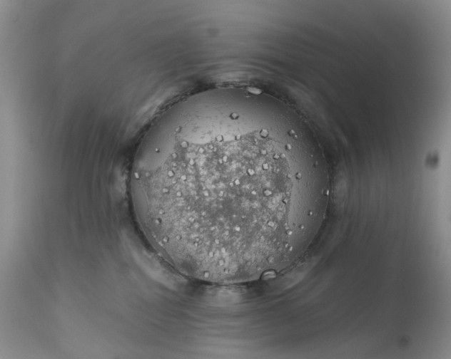 X0000111030282200907091552