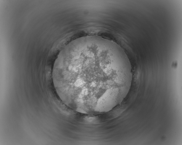 X0000111030283200907091552