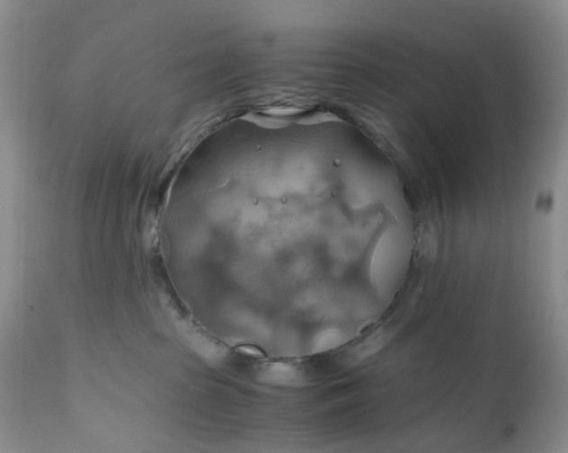 X0000111030285200907091552
