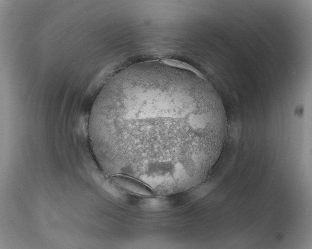 X0000111030286200907091552