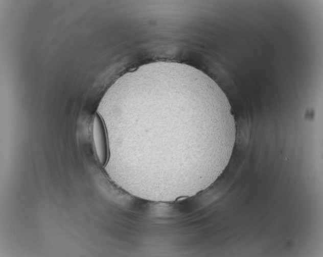 X0000111030287200907091552