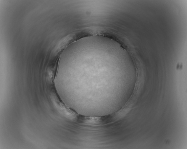 X0000111030288200907091552