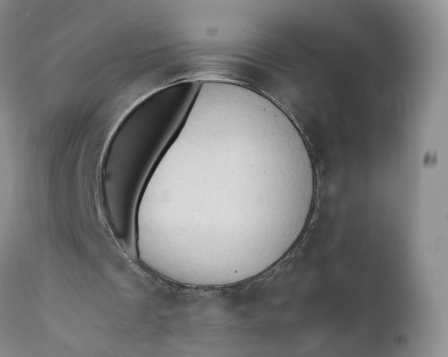 X0000111030289200907091551
