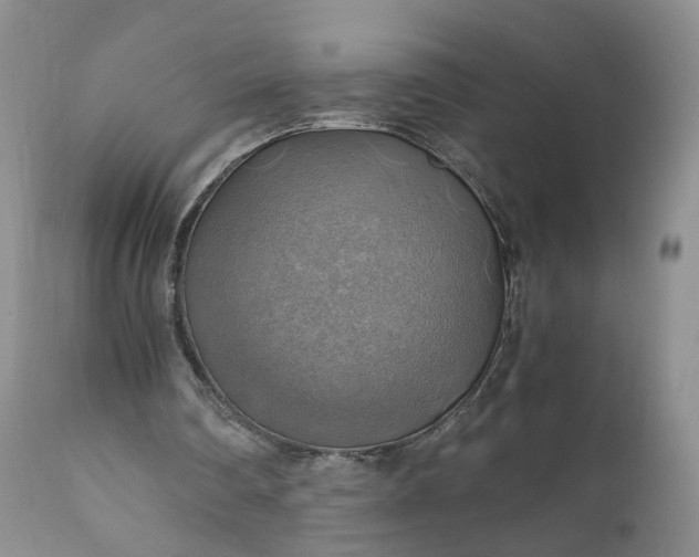X0000111030290200907091551