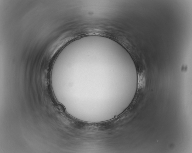 X0000111030291200907091551