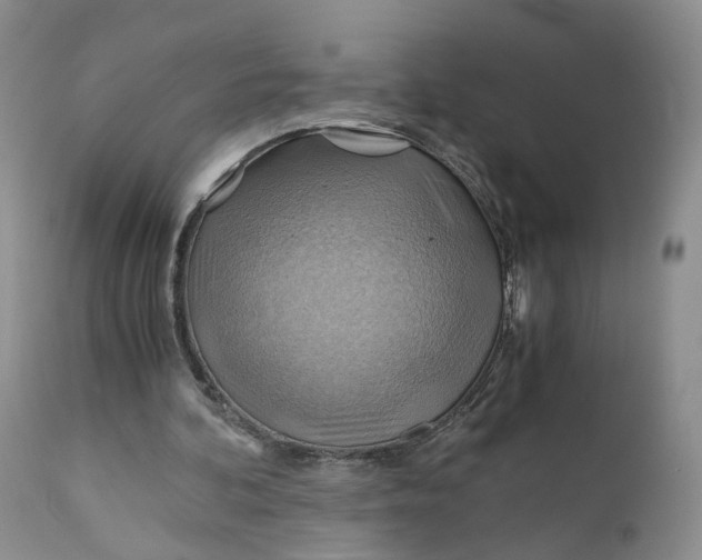 X0000111030292200907091551