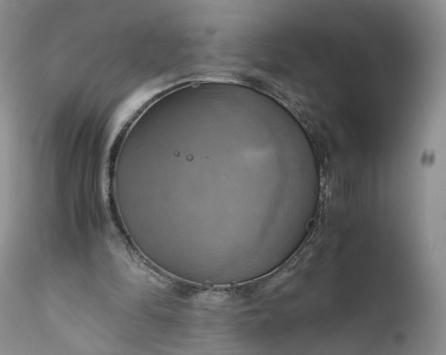 X0000111030294200907091551