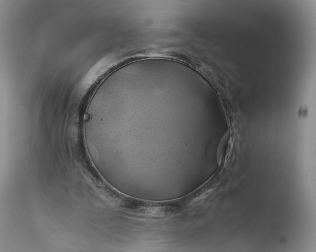 X0000111030295200907091551