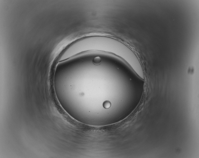 X0000111030296200907091551