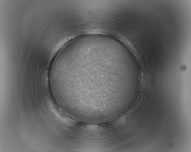 X0000111030298200907091551
