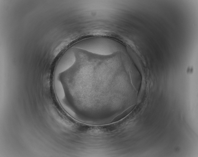 X0000111030299200907091551