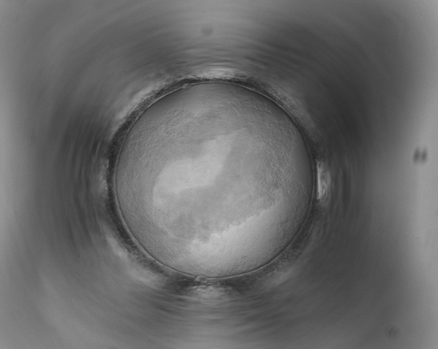 X0000111030300200907091551