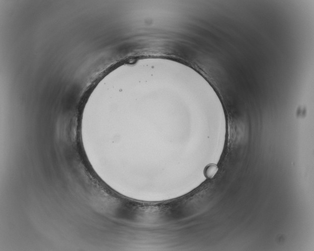 X0000111030301200907091551