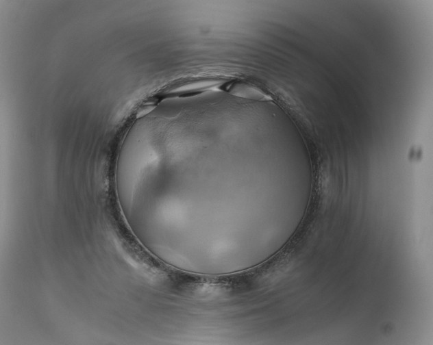 X0000111030303200907091551