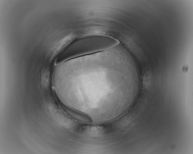 X0000111030304200907091551
