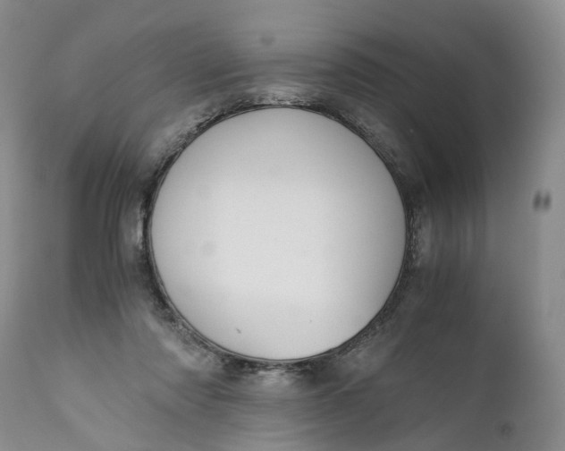 X0000111030310200907091551