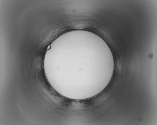 X0000111030311200907091551