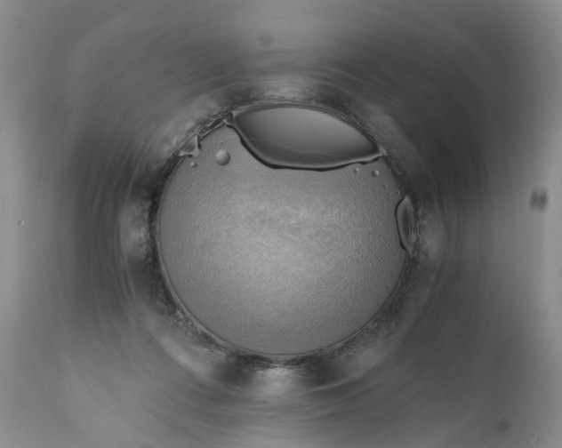X0000111030312200907091551