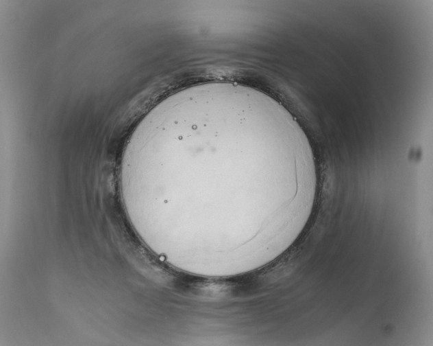 X0000111030313200907091551