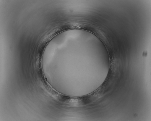 X0000111030314200907091551