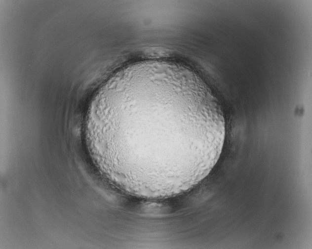 X0000111030315200907091551