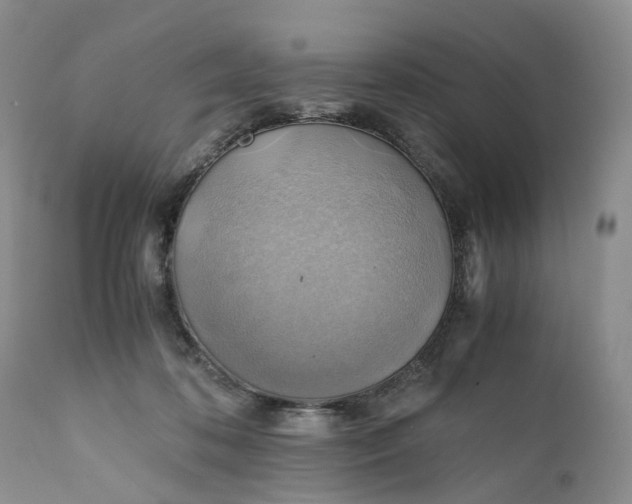 X0000111030316200907091551