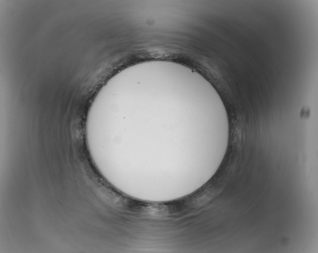 X0000111030317200907091551