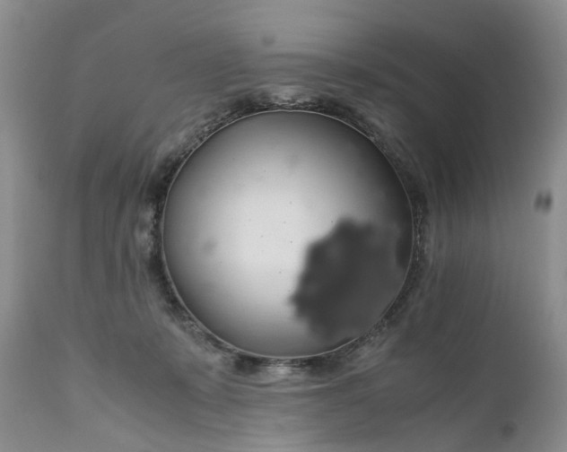 X0000111030319200907091551