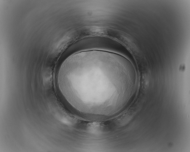 X0000111030320200907091551