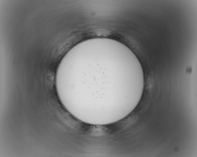 X0000111030321200907091551