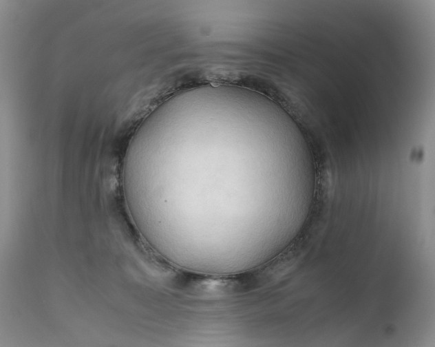 X0000111030323200907091551