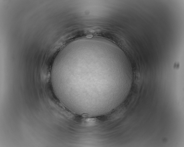 X0000111030324200907091551